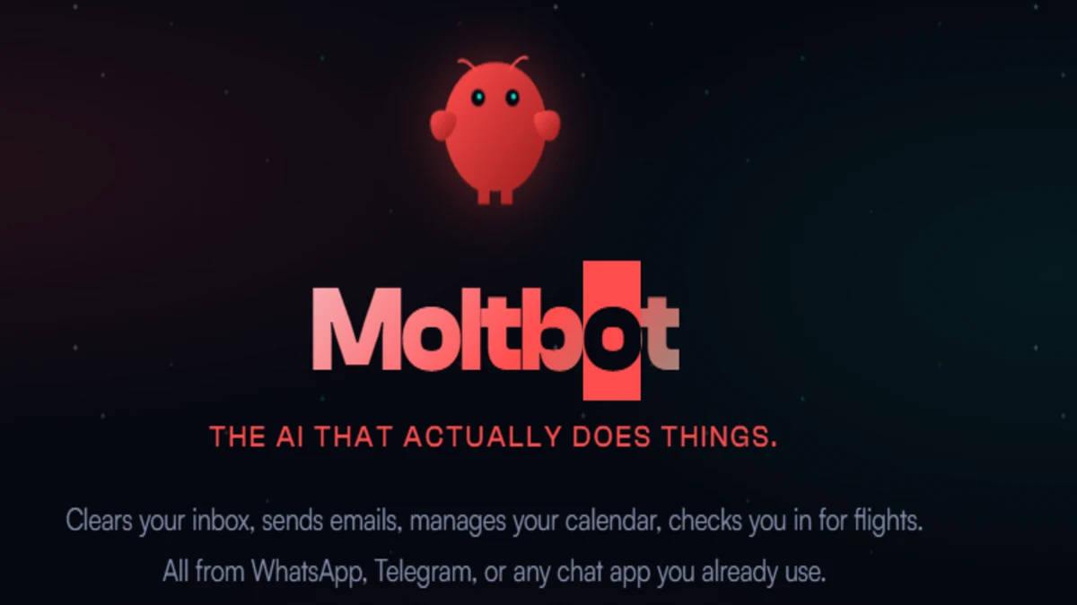 Moltbot infrastructure optimization analysis